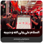 هم نوا با زائران پیاده اربعین حسینی